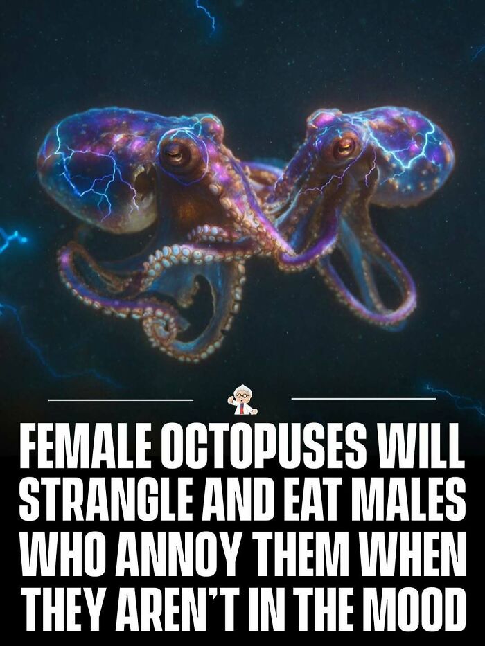 Two glowing octopuses underwater illustrating wholesome and interesting facts from all over the world.