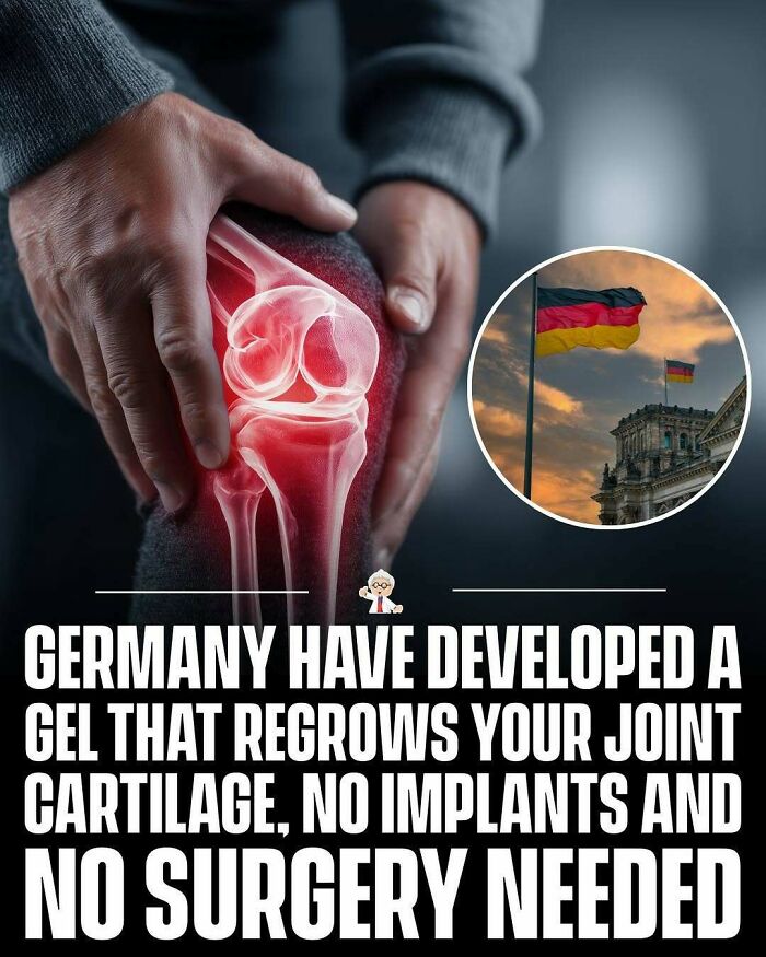 Hands holding a knee with joint cartilage highlighted, alongside German flags, illustrating interesting facts from around the world.