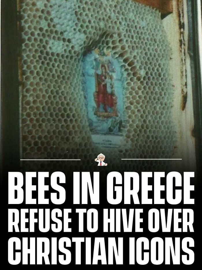Close-up of a bee hive in Greece surrounding a Christian icon, showcasing a wholesome and interesting fact from the world.
