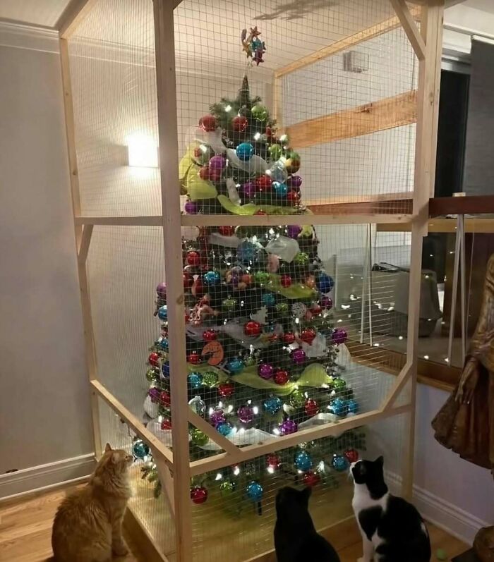 Christmas tree enclosed in a wooden and wire cage to prevent cats from reaching ornaments decorating the tree.