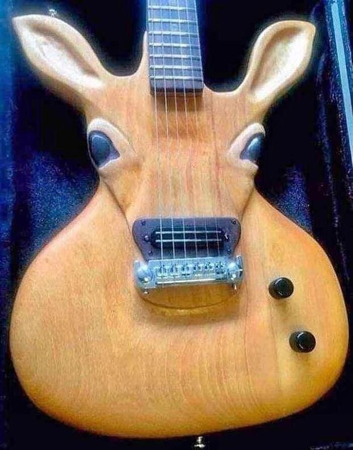 Electric guitar shaped like a deer head with ears and eyes, one of the cursed photos that make zero sense.