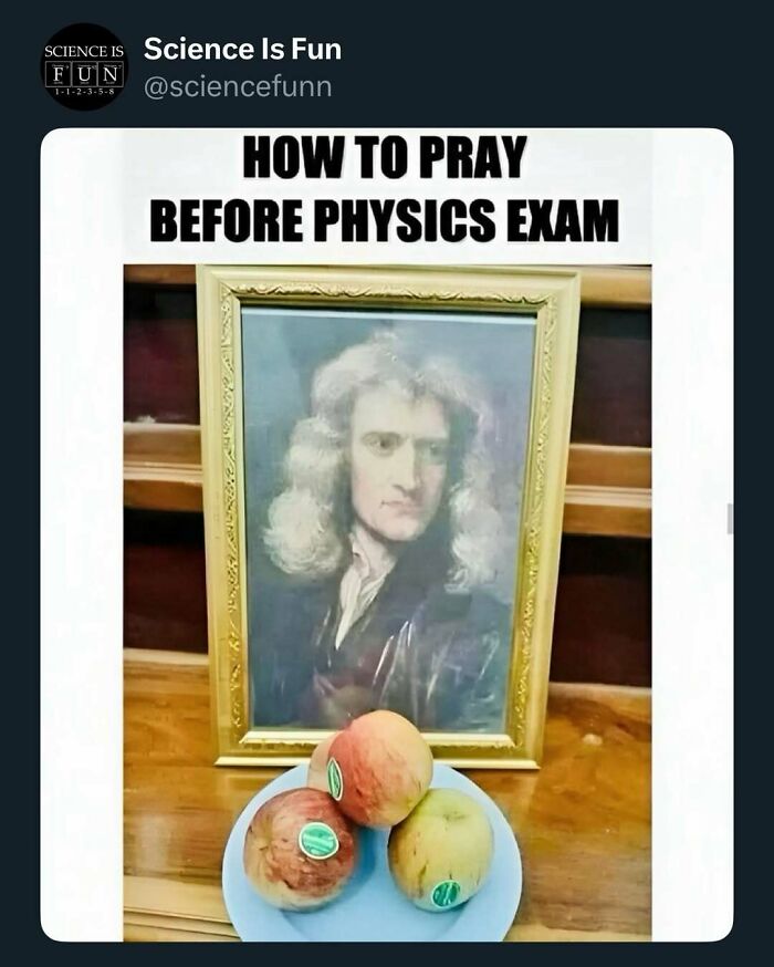 Framed portrait of Isaac Newton with three apples on a plate, humorously linked to science memes before a physics exam.