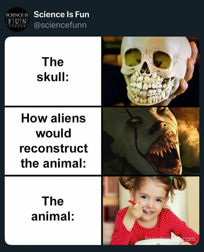 Meme comparing a skull, alien reconstruction of an animal, and the actual animal, highlighting humor in science memes.