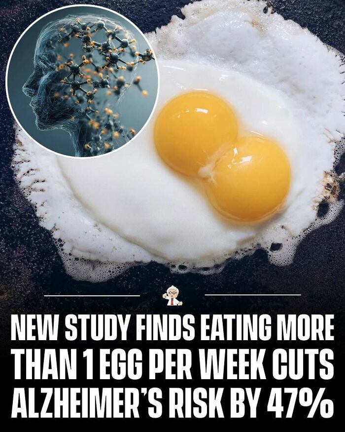 Fried double yolk egg with brain molecule illustration highlighting Alzheimer’s risk reduction from wholesome world facts.