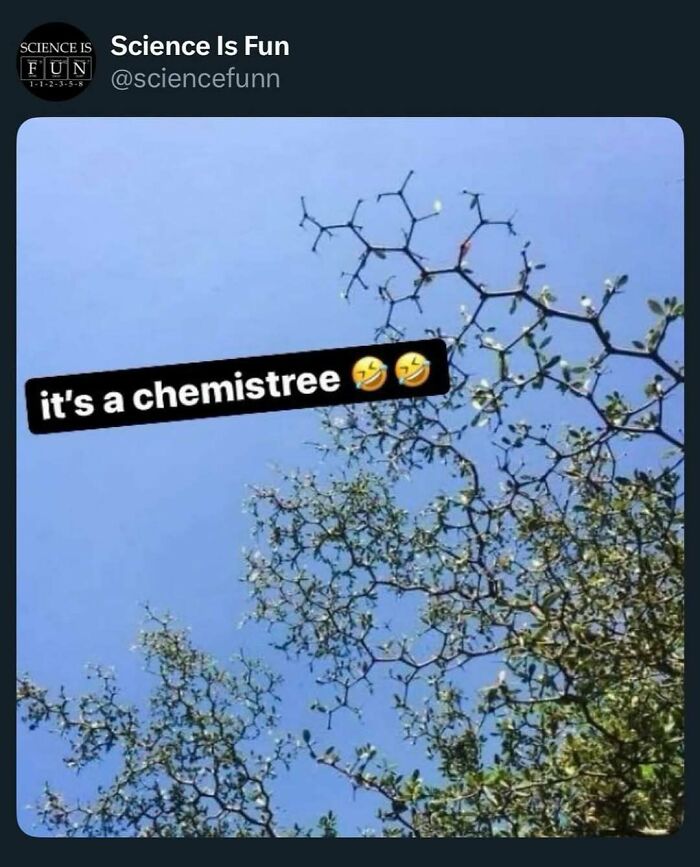 Tree branches against a clear blue sky resembling a chemical structure, representing science memes and fun science posts.