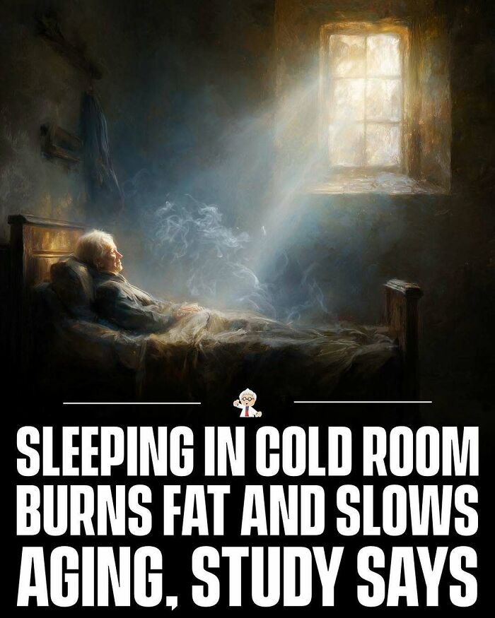 Elderly person sleeping in a cold room with sunlight streaming in, relating to wholesome interesting facts and stories.