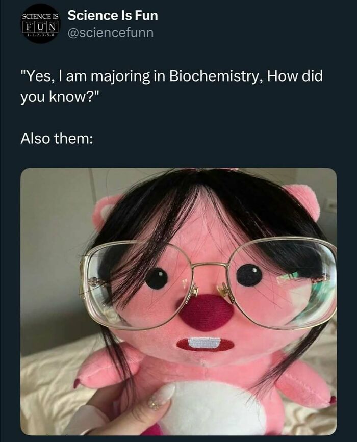 Plush toy with glasses and wig illustrating science memes and interesting posts for science enjoyment.