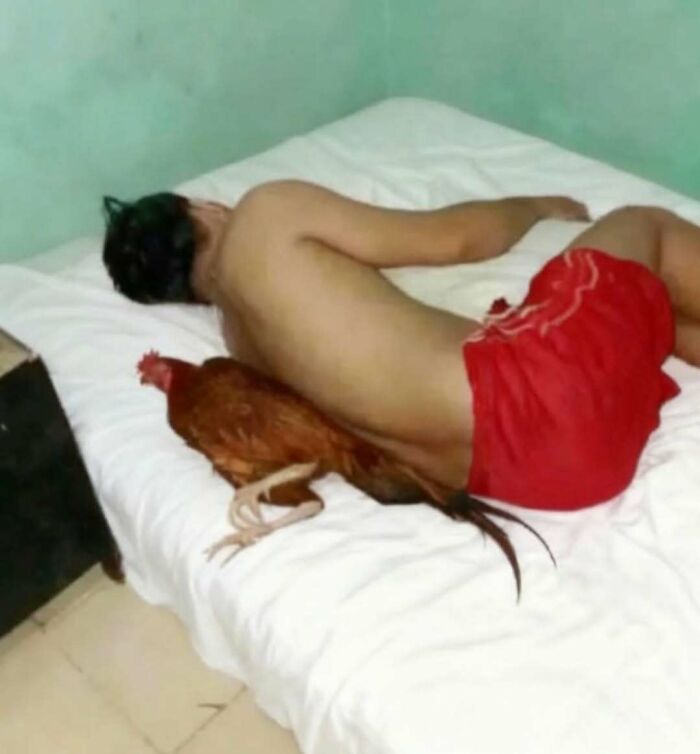Man lying face down on a bed next to a rooster creates a cursed photo that makes absolutely zero sense yet stays vivid in the mind.