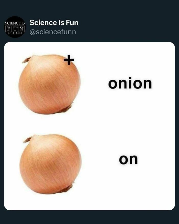 Onion meme from science fun account illustrating word play with plus sign and onion image for science memes.