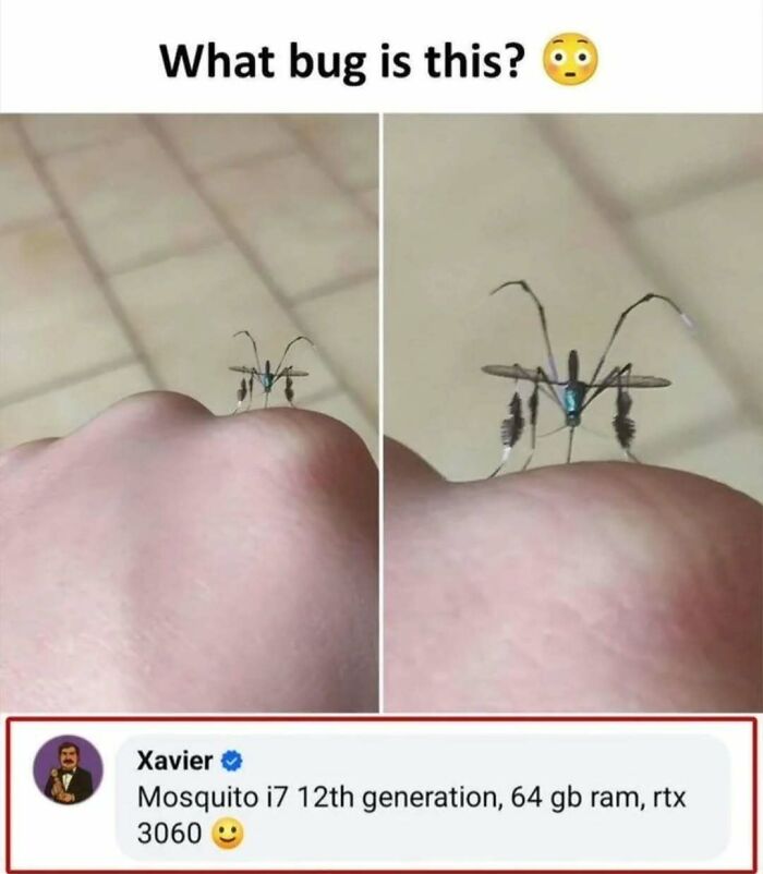 Small unusual bug on a hand with caption, shared as a funny meme related to entertaining memes to function properly.