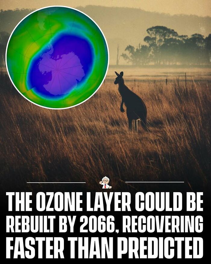 Kangaroo silhouette in a field at sunset with an inset map showing ozone layer recovery over Antarctica.
