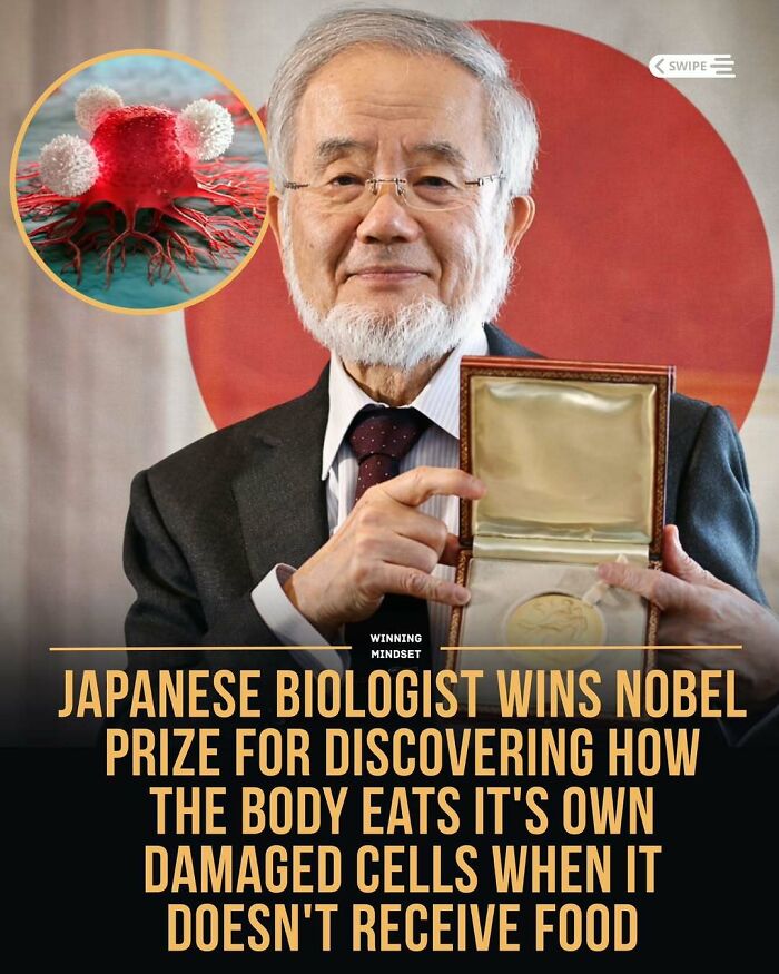Japanese biologist wins Nobel Prize for discovering how the body eats damaged cells in good news from around the world.