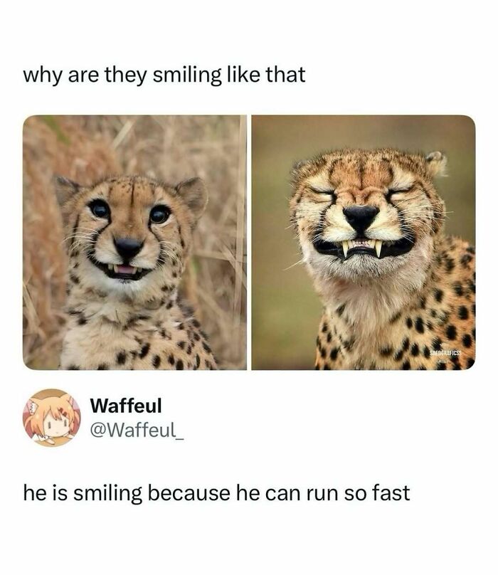 Funny-Pop-Culture-Memes-Jokes-Whatsif