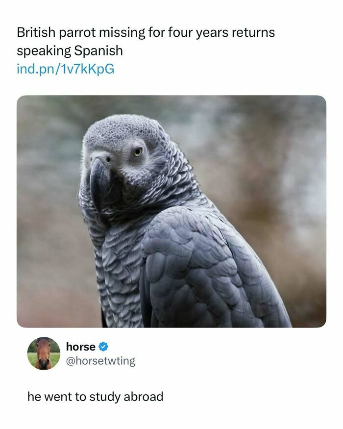 Funny-Pop-Culture-Memes-Jokes-Whatsif