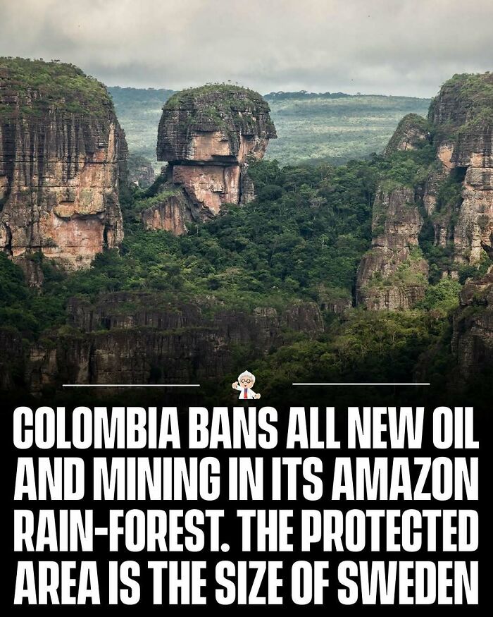 Lush Amazon rainforest in Colombia where new oil and mining activities are banned to protect the environment worldwide.