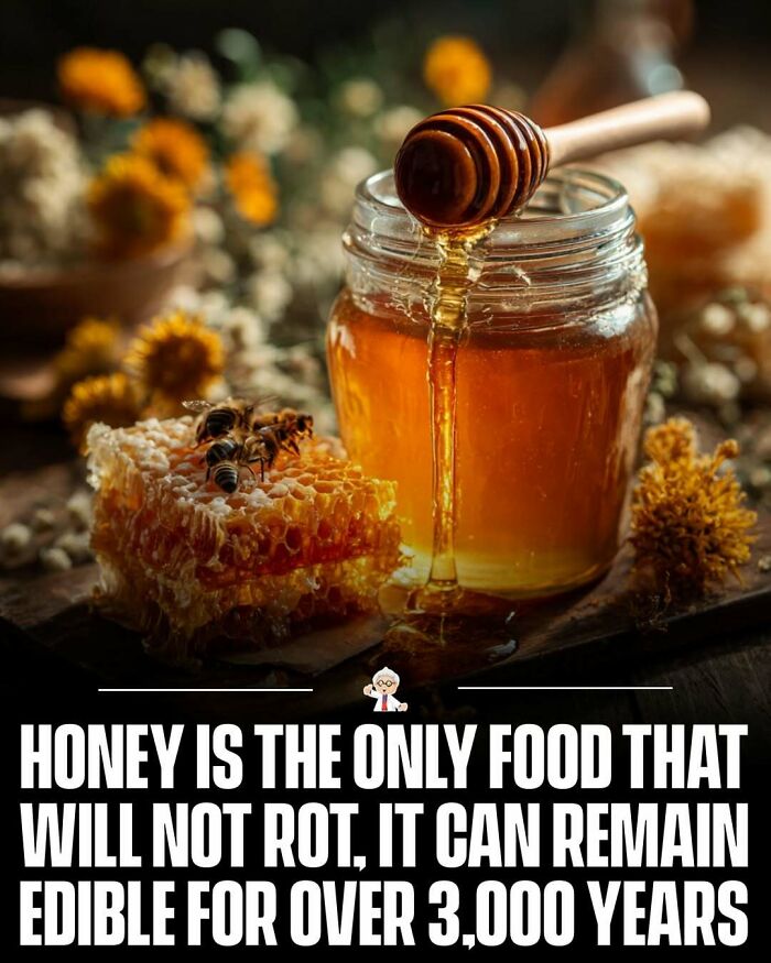 Jar of honey with honeycomb and bees, illustrating wholesome and interesting facts about food preservation.