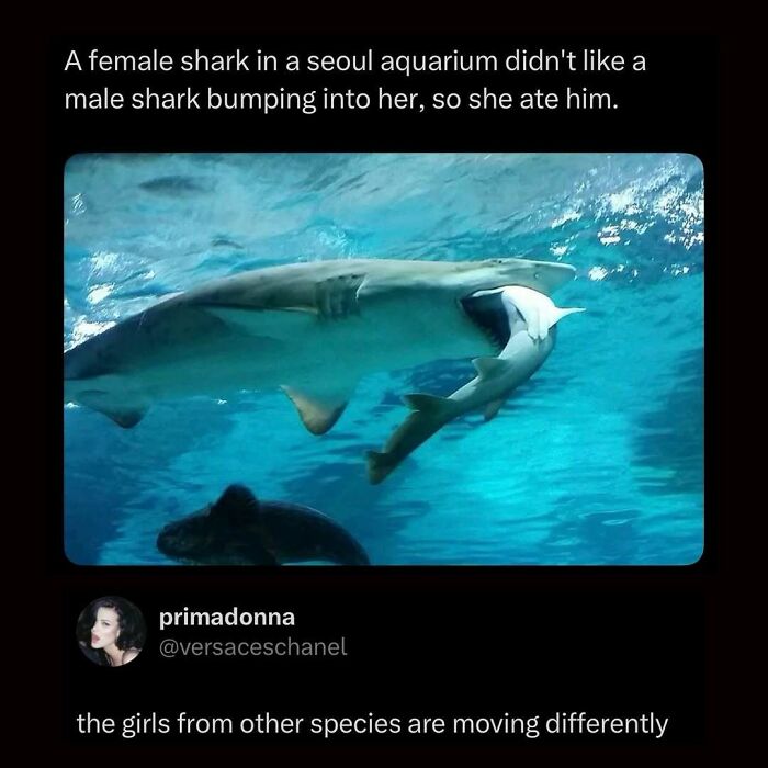 Funny-Pop-Culture-Memes-Jokes-Whatsif