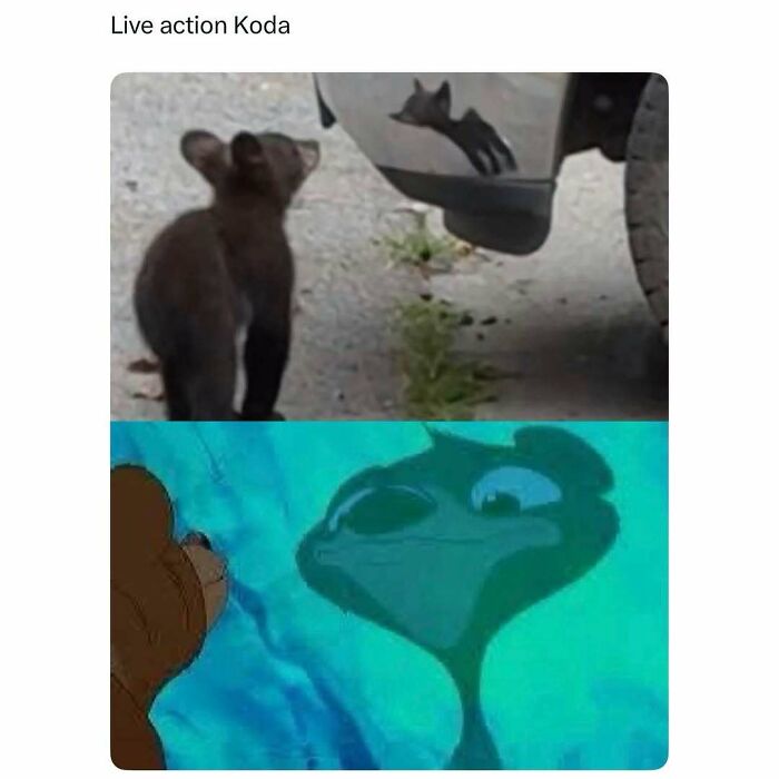 Funny-Pop-Culture-Memes-Jokes-Whatsif