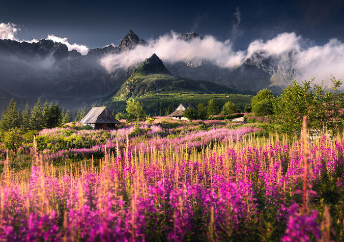 43 Photos By Karol Nienartowicz That Capture The Wild Beauty Of Poland’s Mountains