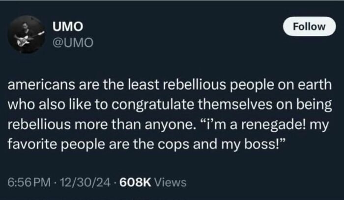 Wild-Funny-New-Sentences