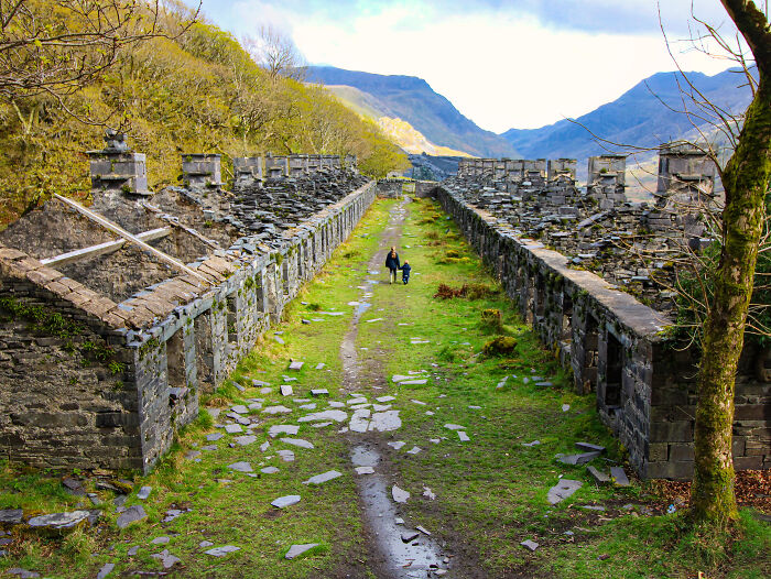 “Slate Expectations”