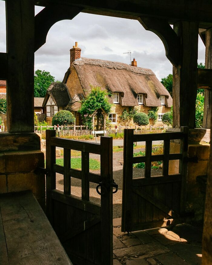 “Thatch Made In Heaven”