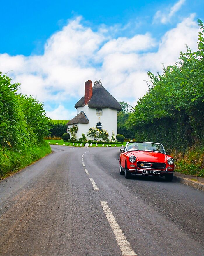 “Thatch Of The Day”