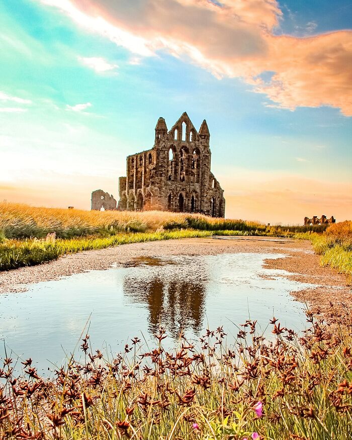 “Abbey-Solutely”