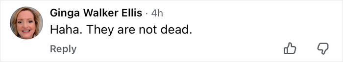 John F. Kennedy Jr.’s Eerie Final Words To Flight Instructor Before The Crash That Ended In Tragedy John F. Kennedy Jr.’s Eerie Final Words To Flight Instructor Before The Crash That Ended In Tragedy