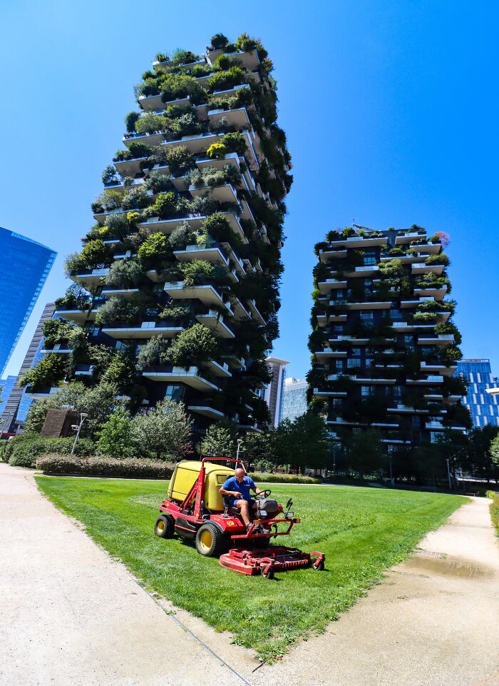 “Tree-Mendous Towers”