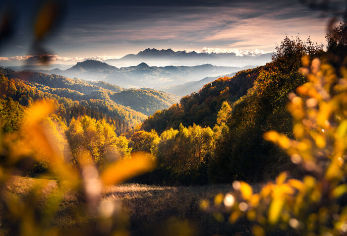 43 Photos By Karol Nienartowicz That Capture The Wild Beauty Of Poland’s Mountains