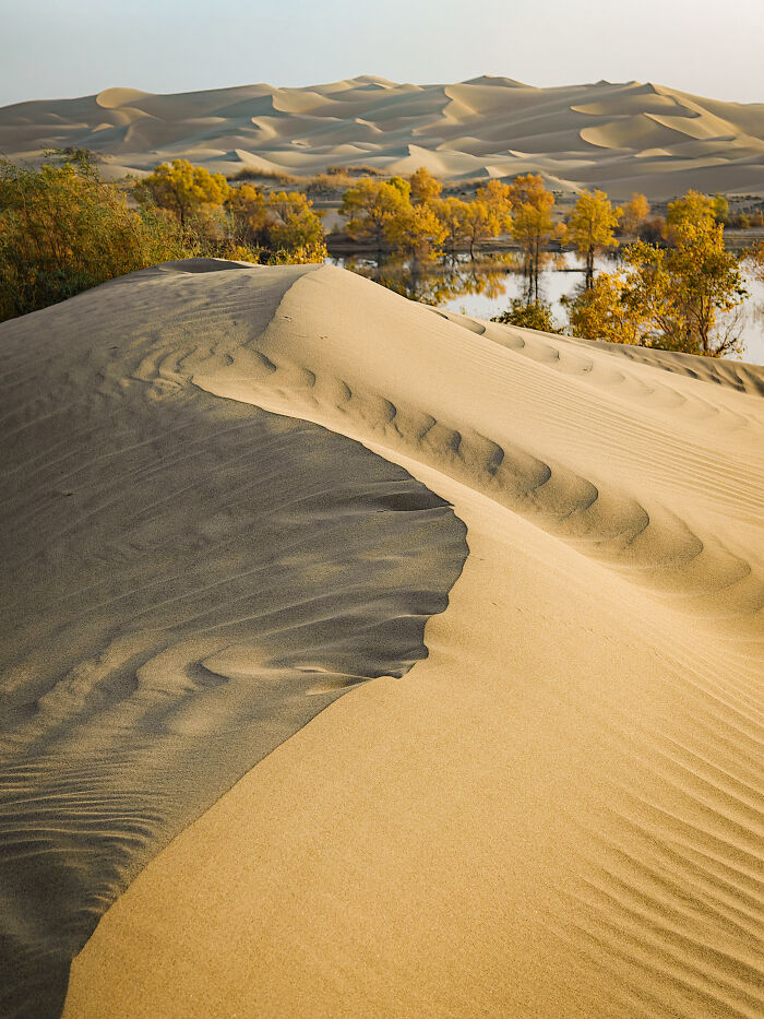 Honorable Mention, Landscapes & Wildlife: Wonders In The Desert By Kuanglong Zhang
