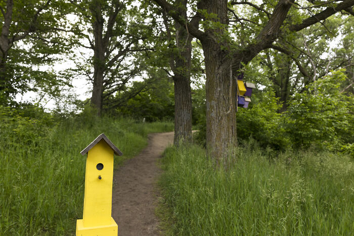 My Tiny Chihuahua Goes On A Troll Hunt