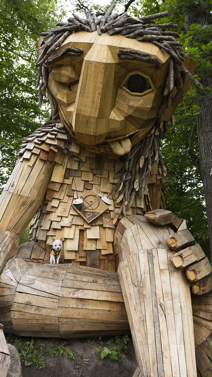 My Tiny Chihuahua Goes On A Troll Hunt