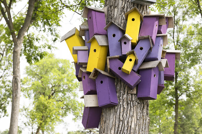 My Tiny Chihuahua Goes On A Troll Hunt