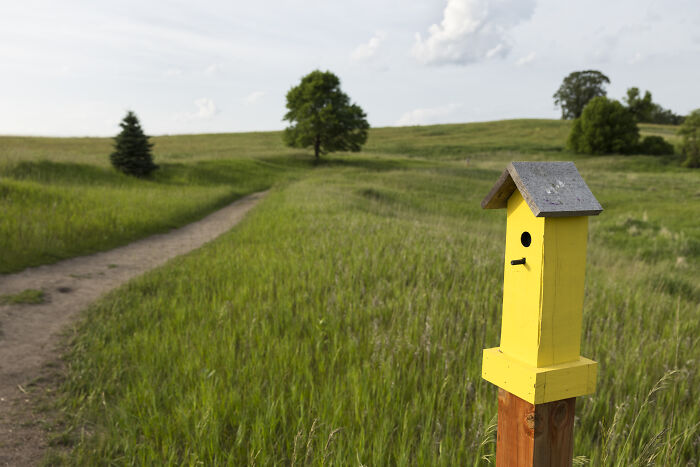 My Tiny Chihuahua Goes On A Troll Hunt