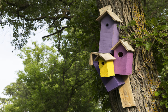 My Tiny Chihuahua Goes On A Troll Hunt