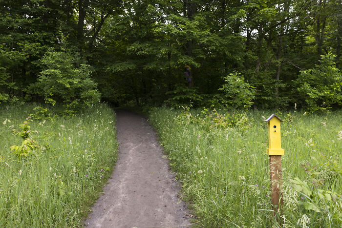 My Tiny Chihuahua Goes On A Troll Hunt