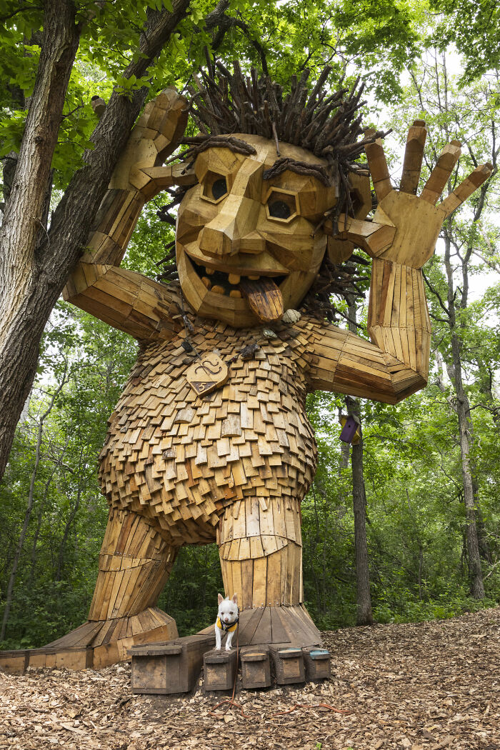 My Tiny Chihuahua Goes On A Troll Hunt