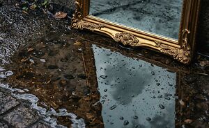 “Beautiful Reflections I Noticed In Everyday Places”