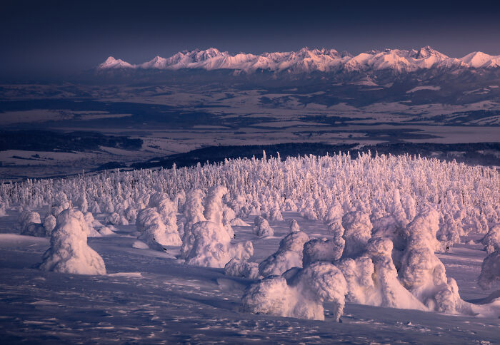 43 Photos By Karol Nienartowicz That Capture The Wild Beauty Of Poland’s Mountains