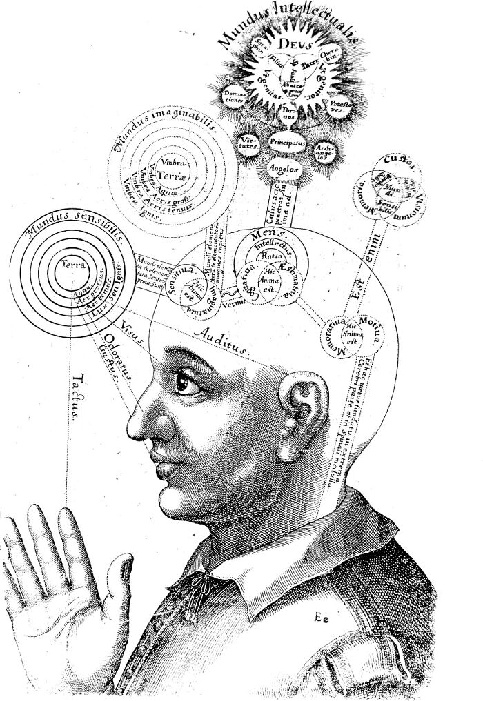 Vintage anatomical illustration of a human head exploring complex conceptual rabbit holes of the mind and senses.