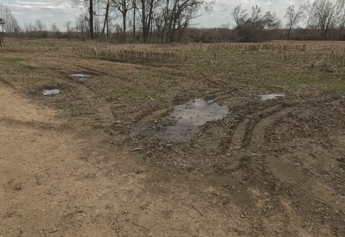 Gravel road with tire tracks and puddles in a rural area where bodies of father and daughter were found.
