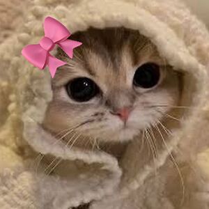 isabelle-philson avatar