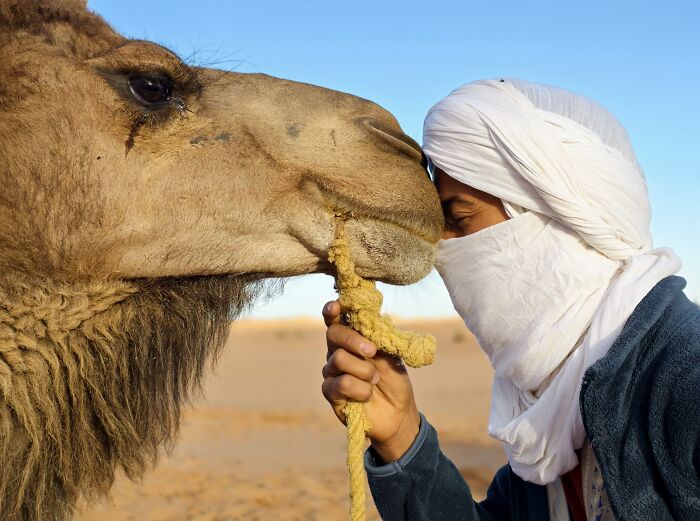 Honorable Mention, Portraits & Self-Portraits: Silent Understanding By Wang Hsiu Ling