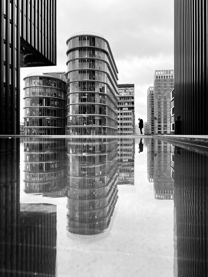 Honorable Mention, Silhouettes: In Between By Alexandra Thannhaeuser