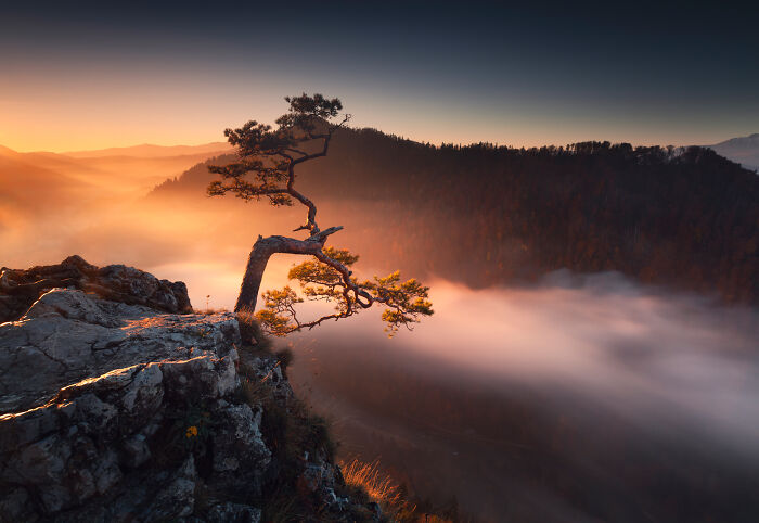 43 Photos By Karol Nienartowicz That Capture The Wild Beauty Of Poland’s Mountains