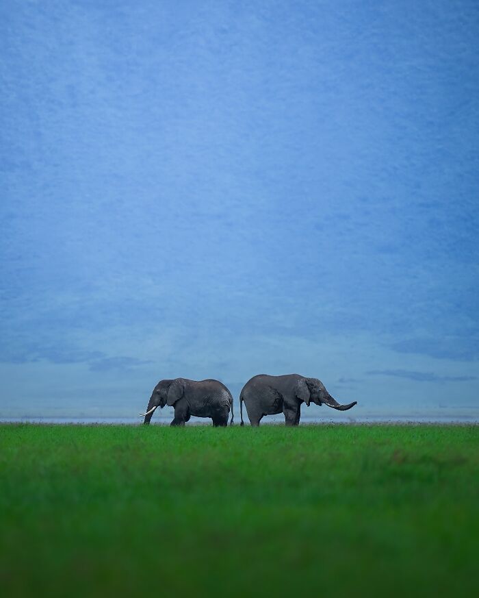 Stunning Wildlife Photography By Alexandra That Brings Us Closer To Nature (40 Pics)-Interview