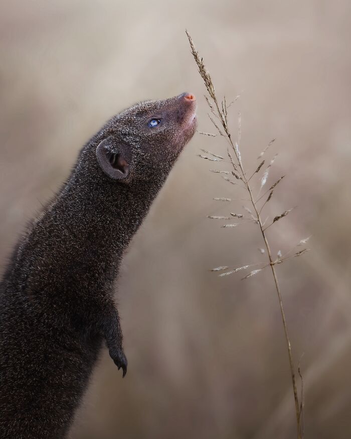 Stunning Wildlife Photography By Alexandra That Brings Us Closer To Nature (40 Pics)-Interview