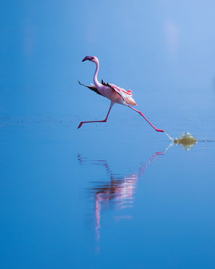 Stunning Wildlife Photography By Alexandra That Brings Us Closer To Nature (40 Pics)-Interview